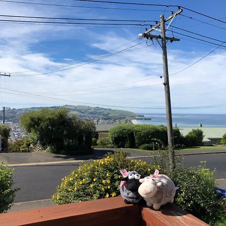 Wow @ Saint Clair Bed & Breakfast Dunedin Dış mekan fotoğraf