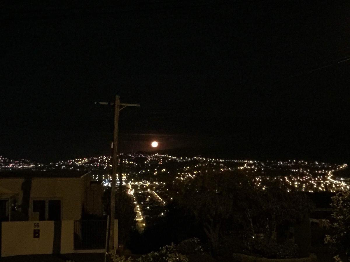 Wow @ Saint Clair Bed & Breakfast Dunedin Dış mekan fotoğraf