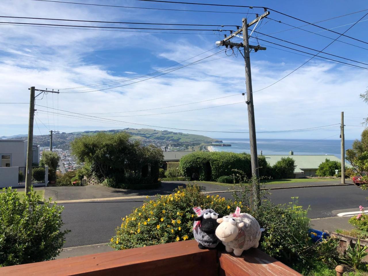 Wow @ Saint Clair Bed & Breakfast Dunedin Dış mekan fotoğraf